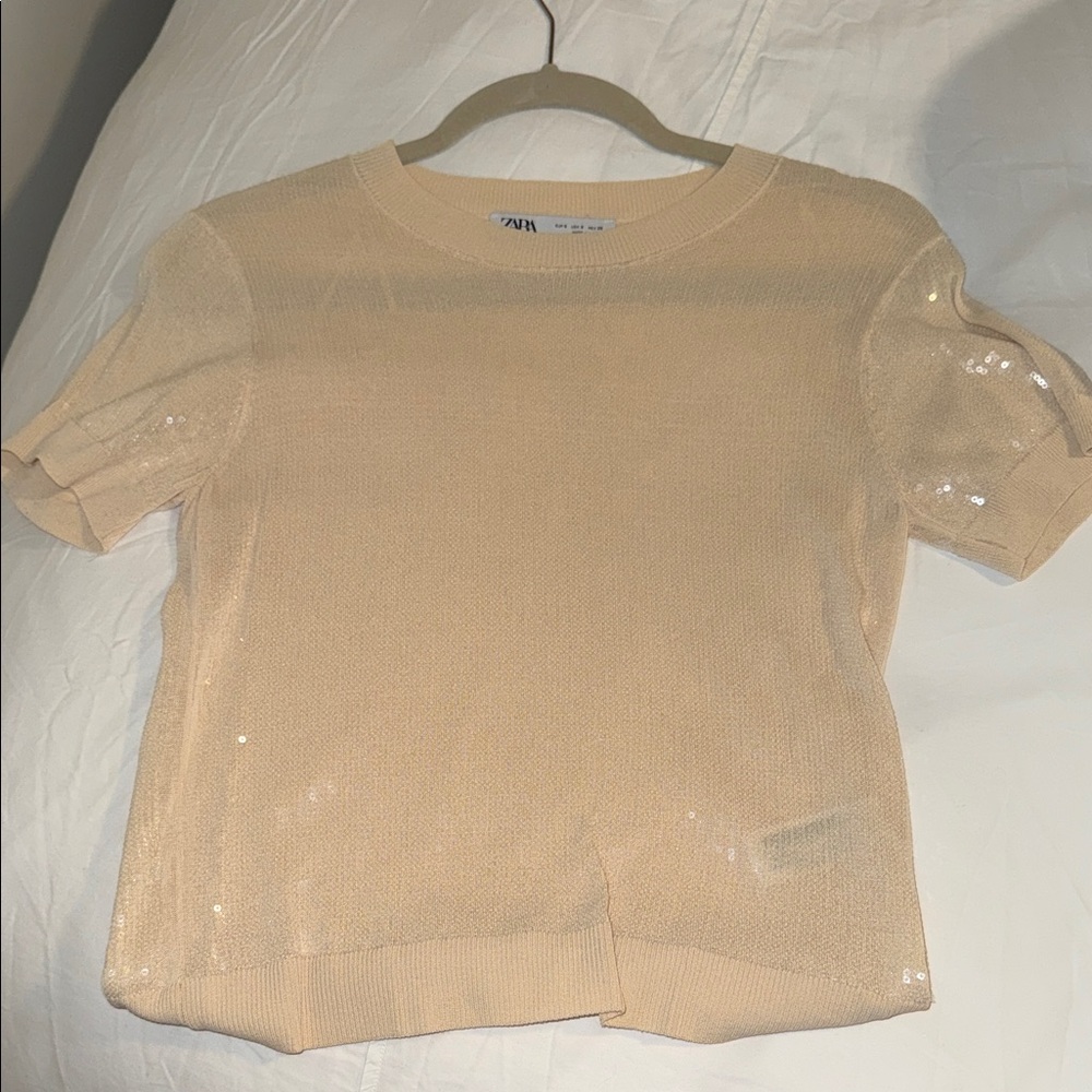 Zara Sequin Knit Top